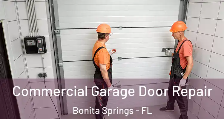  Commercial Garage Door Repair Bonita Springs - FL