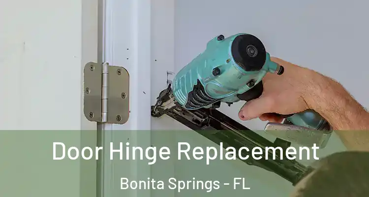  Door Hinge Replacement Bonita Springs - FL
