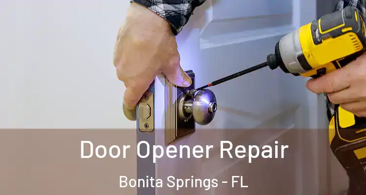  Door Opener Repair Bonita Springs - FL