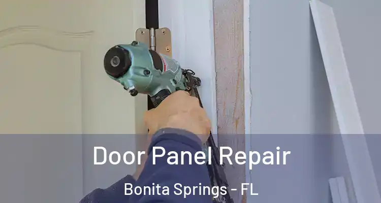  Door Panel Repair Bonita Springs - FL