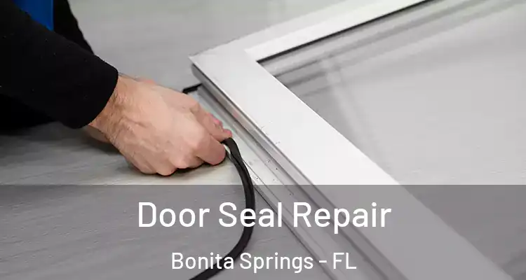  Door Seal Repair Bonita Springs - FL