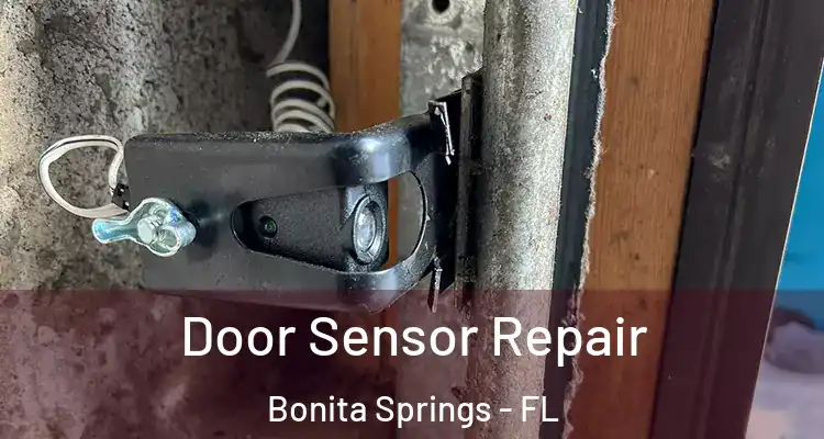  Door Sensor Repair Bonita Springs - FL