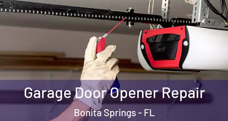  Garage Door Opener Repair Bonita Springs - FL