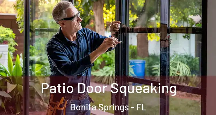  Patio Door Squeaking Bonita Springs - FL