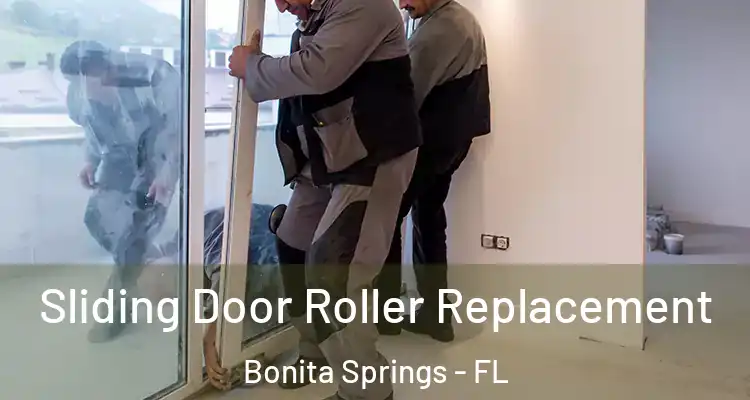  Sliding Door Roller Replacement Bonita Springs - FL