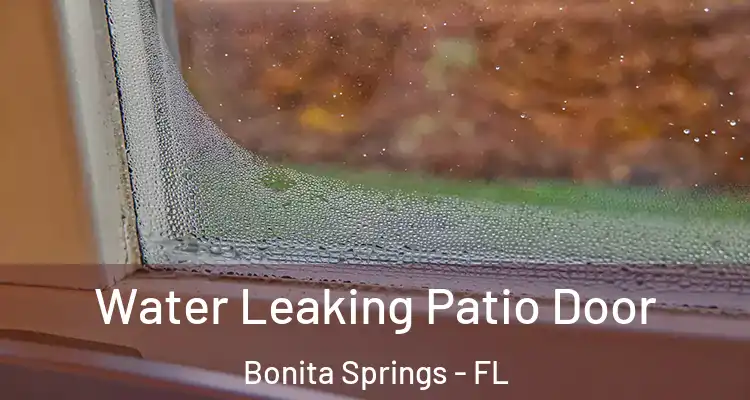  Water Leaking Patio Door Bonita Springs - FL